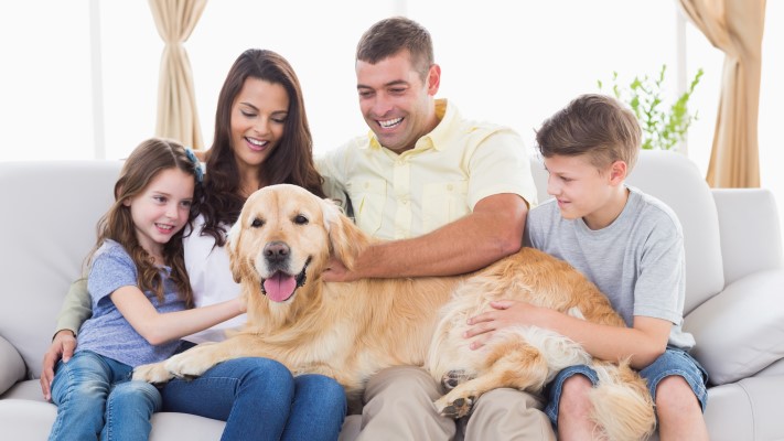 כלב יושב עם כל בני המשפחה
