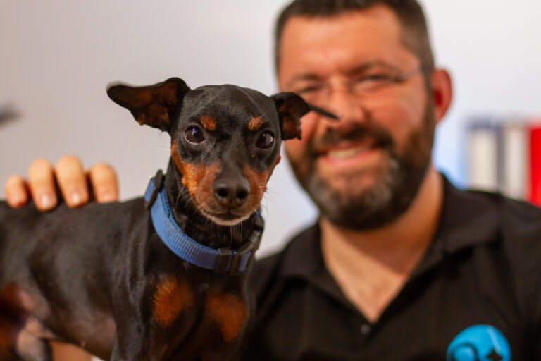 רומן מאלף כלבים בתהליך אילוף של כלב