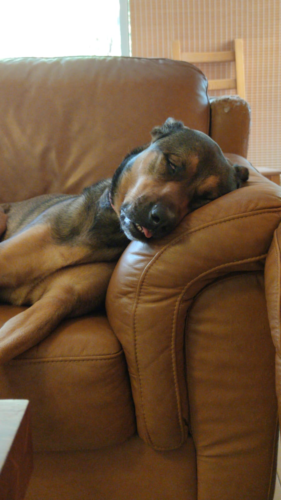 מירב ואריאל 